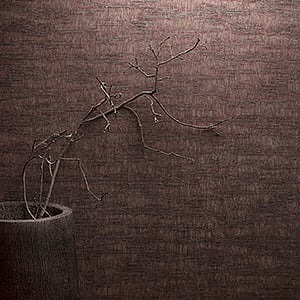 CRAFTCover
