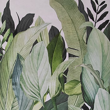 Galerie Wallcoverings Product Code 18001 - Tropical Wallpaper Collection - Coconut Colours -  