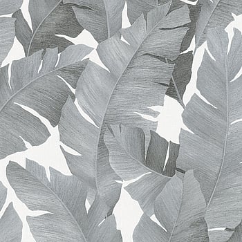 Galerie Wallcoverings Product Code 31624 - The New Design Book Wallpaper Collection - black silver Colours -  