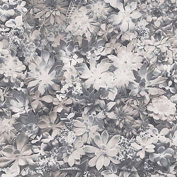 Galerie Wallcoverings Product Code 7321 - Evergreen Wallpaper Collection - Grey Colours -  